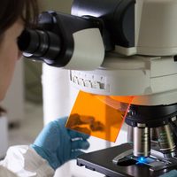 Cuánto durará la inmunidad de la vacuna rusa contra el coronavirus