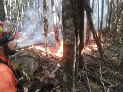 Investigan relación entre incendios y la prohibición de fiestas electrónicas