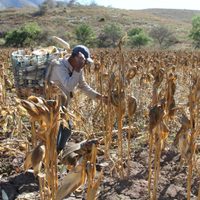 Los ejidatarios están interesados en la legalidad de sus tierras