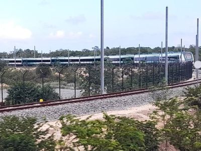 Semarnat autoriza nuevo desmonte de selva para la terminal de carga del Tren Maya en Cancún