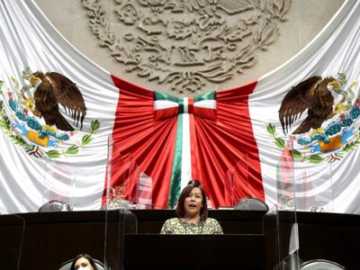 Diputada del PES balconea presión de Mier para votar reforma judicial