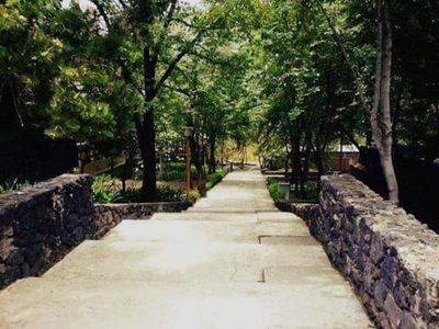 Estudiante de 15 años denuncia violación tumultuaria dentro del CCH Sur