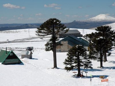 Ya es un hecho: se anunció la reactivación del Complejo Turístico de Primeros Pinos