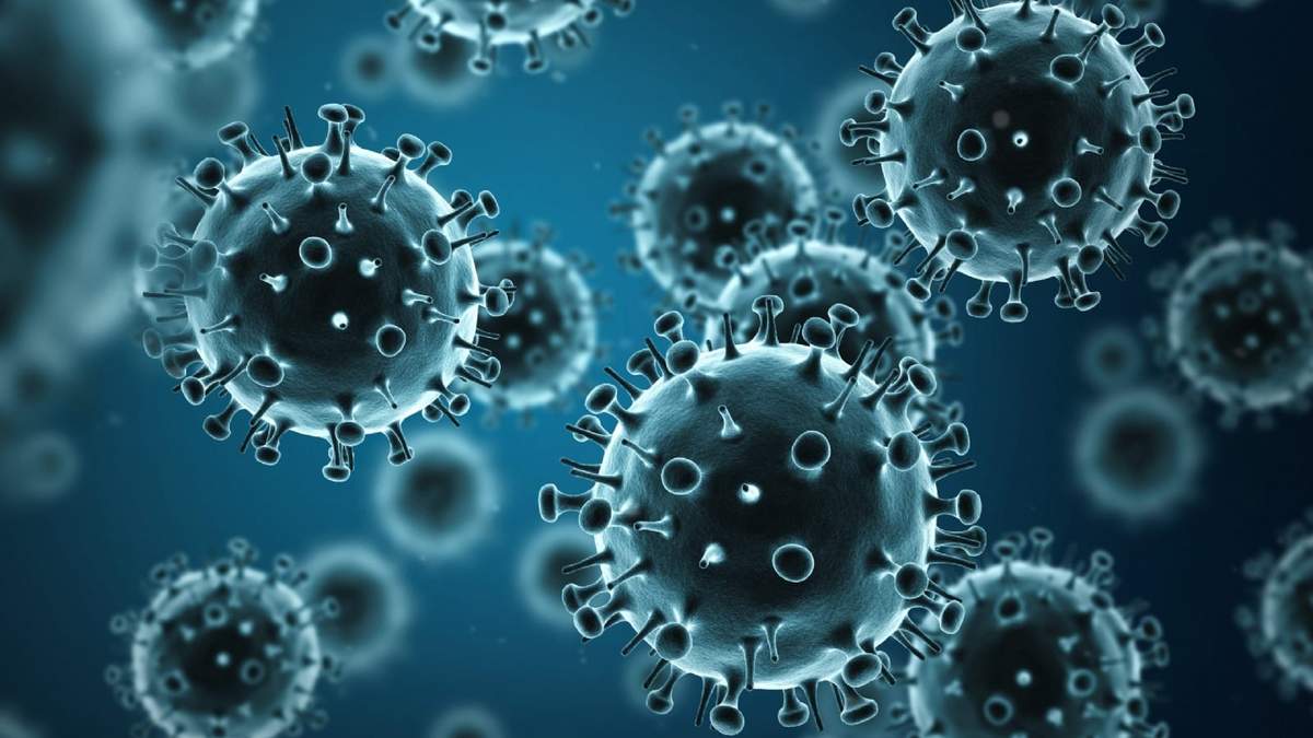 La influenza B es un virus de rápida transmisión. Fuente: (X)