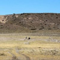 Neuquén se prepara para evitar la falta de agua y energía este verano por las temperaturas extremas