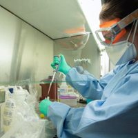 Río Negro: dos nuevos casos de coronavirus y seis pacientes curados