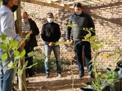 Por quinta vez en el año provocaron destrozos en la sede de la Guardia Ambiental