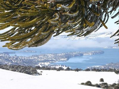 Villa Pehuenia Moquehue: el presidente de la Cámara de Turismo analizó la situación del sector