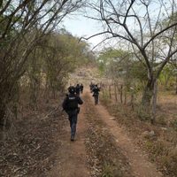 Hallan seis cuerpos en Cintalapa tras operativos por hechos violentos en Villaflores