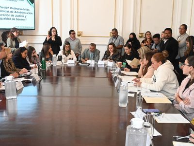 Avanza en comisiones del Congreso de la CDMX la despenalización toral del aborto