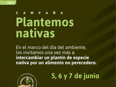 En la Semana del Ambiente, el Parque Nacional Lanín entregará plantines de especies nativas