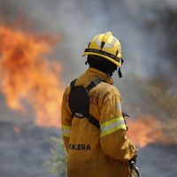 Bomberos luchan por extinguir un incendio forestal en el norte de Córdoba
