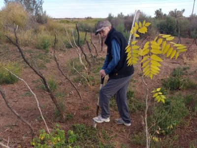 Un vecino de Cutral Co comenzó a cumplir su sueño de crear un bosque a la vera de la ruta 22
