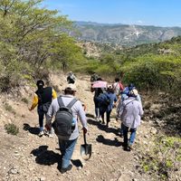 Hallan 8 cuerpos y 70 restos óseos en jornada de búsqueda en Tlapa, Guerrero