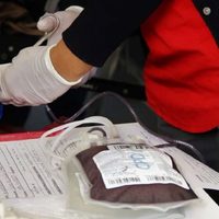 Peligra el abastecimiento de sangre a los hospitales por falta de insumos en el Centro de Hemoterapia