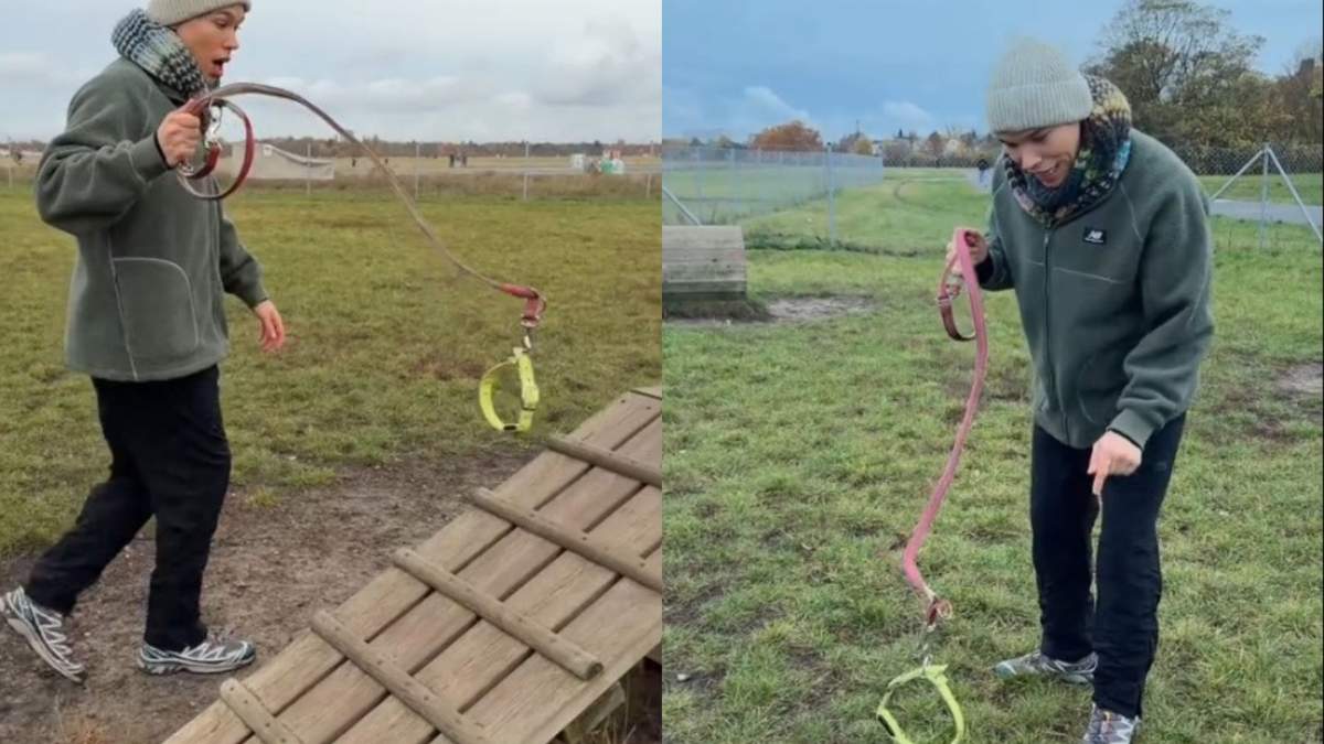 Medios internacionales documentaron el origen de Hobby Doggy en Alemania antes de su viralización en México