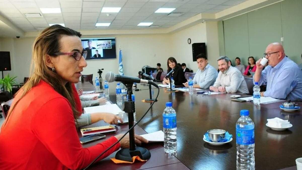 Soledad Salaburu, diputada provincial. Fuente: (Twitter).