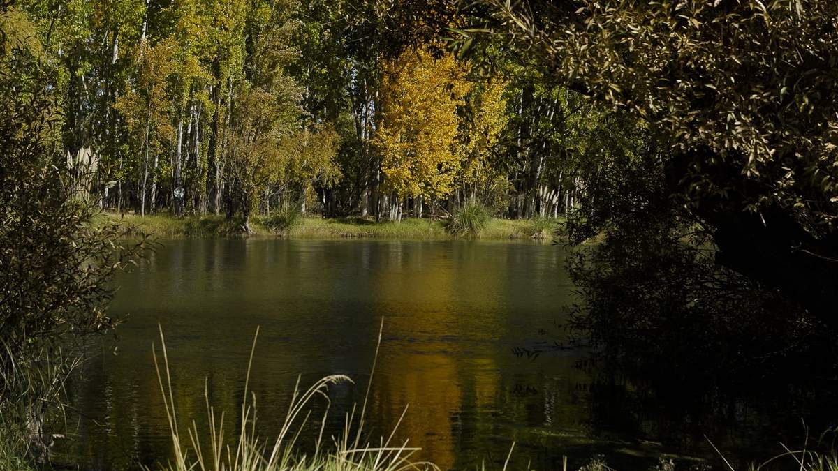 Otoño en Neuquén. Fuente: (AIC)