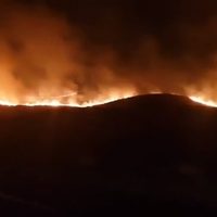 ¡Alerta! Incendio forestal fuera de control en Junín de los Andes