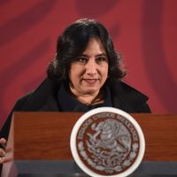Crisis por covid-19 vino como anillo al dedo a la 4T: Irma Eréndira Sandoval