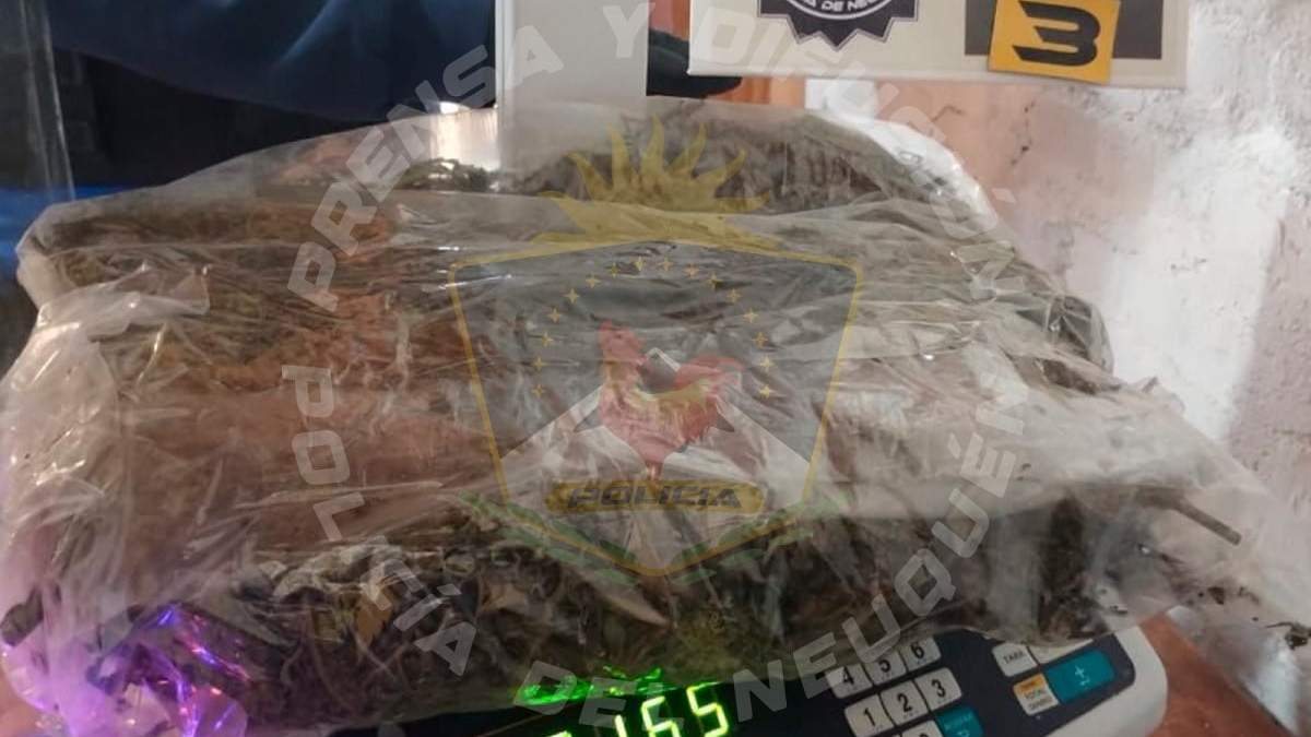 Se hallaron más de 2 kilos de marihuana en proceso de secado. Fuente (Policía de Neuquén)