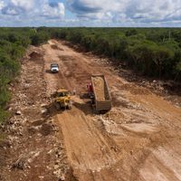 Ecocidio, etnocidio, despojo y otros crímenes detrás del Tren Maya