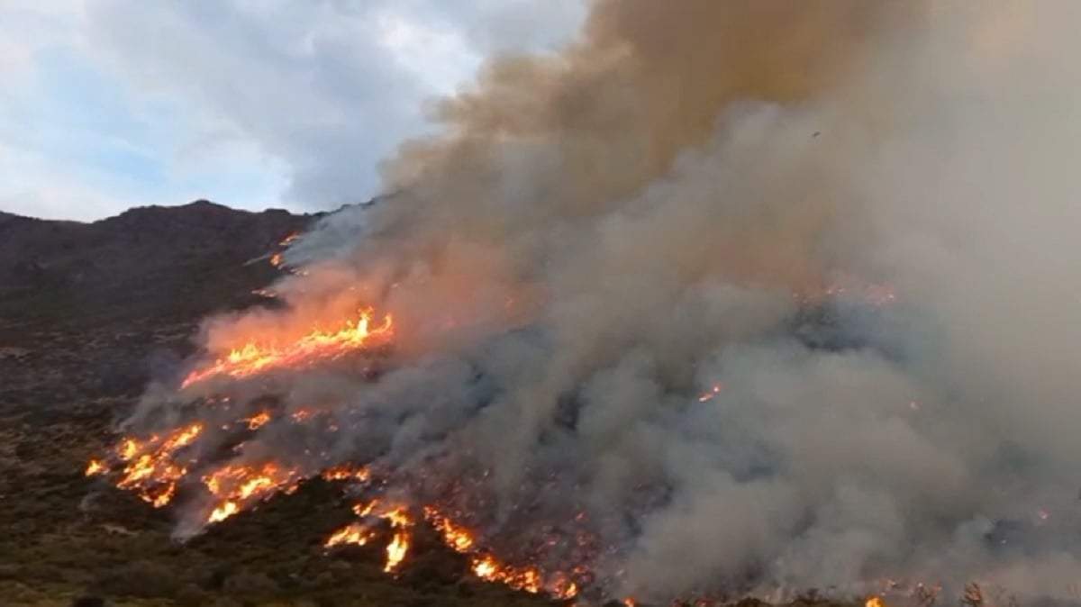 El incendio arrasó más de 450 hectáreas de bosque nativo. Fuente (X)