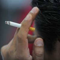 Si fumas en estos lugares te pueden multar hasta por 3 mil pesos