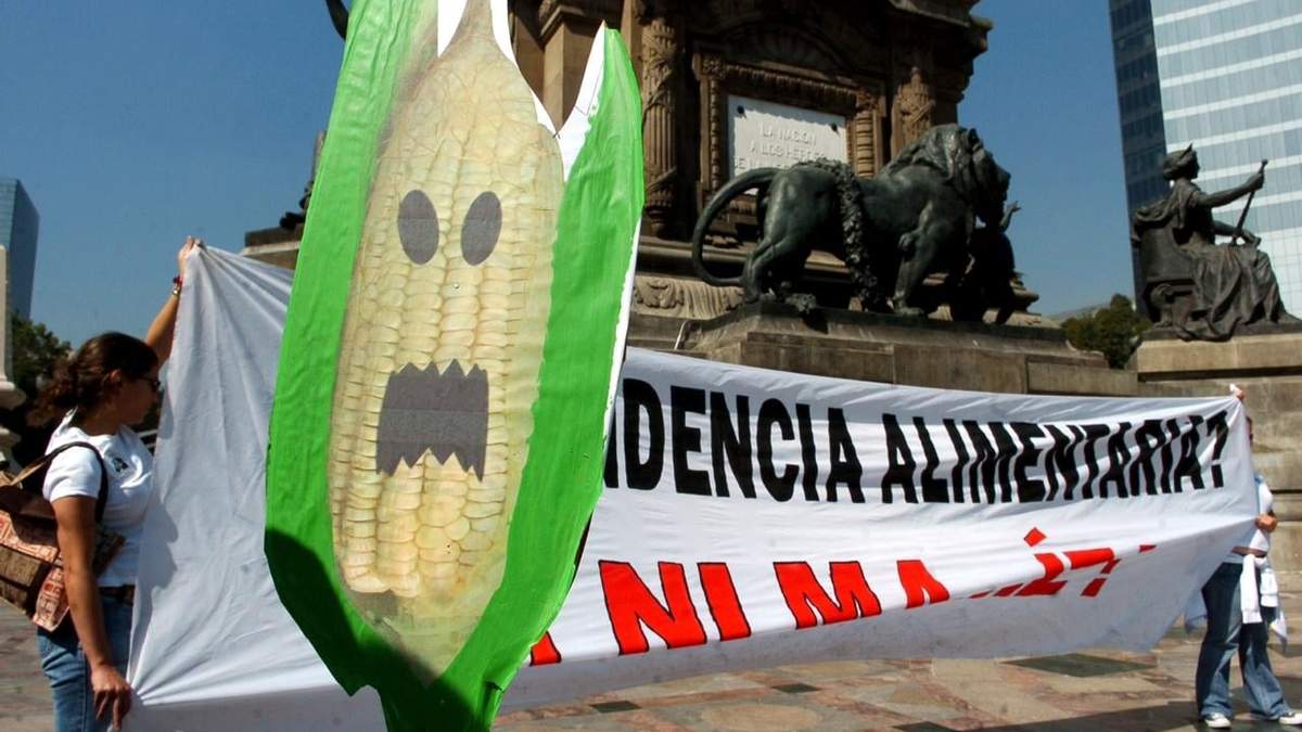 Activistas de Greenpeace protestan frente al Ángel de la Independencia. Foto: Octavio Gómez
