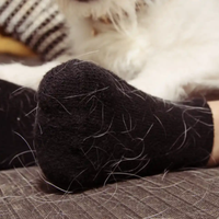 Con solo 1 cosa, el súper tip para eliminar los pelos de gato de tu ropa oscura
