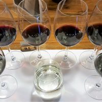 Por primera vez, Bodega Lagarde saca al mercado un blend de tres uvas tintas