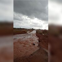 Temporal en Rincón de los Sauces: calles inundadas y rutas cortadas