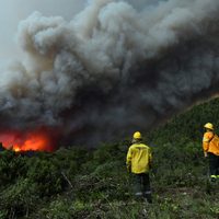 Incendios forestales: cómo continúa la situación en los lagos Martín y Steffen en Bariloche