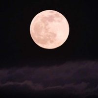 Habrá Luna Rosa el próximo 23 de abril: realizá estos fáciles rituales para atraer el amor y la abundancia