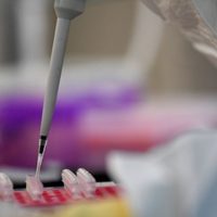 EU acusa a hackers chinos de ataques para robar datos de vacuna contra covid-19