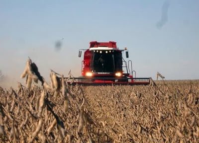 El Gobierno oficializó el aumento a las retenciones a la soja para grandes productores