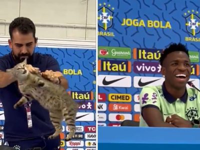 Avientan a gato que se coló a conferencia de Vinicius Jr.; se desata polémica en redes (Video)