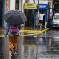 Árboles caídos y casas anegadas por la tormenta