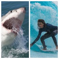 Surfista australiano Khai Cowley murió tras ser atacado por un tiburón