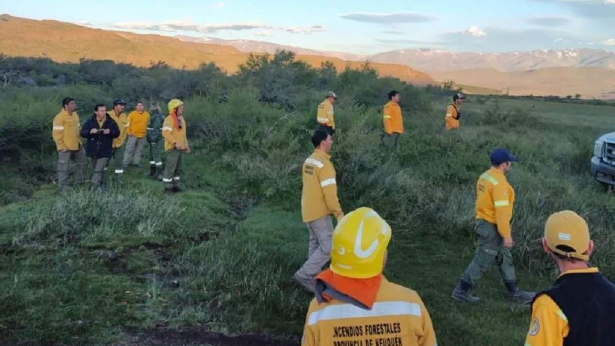 Brigadistas del Sistema Provincial de Manejo del Fuego de Huinganco y Manzano Amargo. Fuente: (Gobierno de Neuquén)