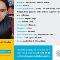 Investigan desaparición de tres peruanos y un mexicano en Jalisco