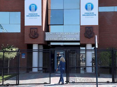 Tiembla la reforma de la Carta Orgánica de Neuquén Capital
