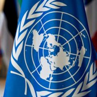 Dato preocupante: la ONU confirmó al menos 800 víctimas de Palestina en centros de distribución de alimentos