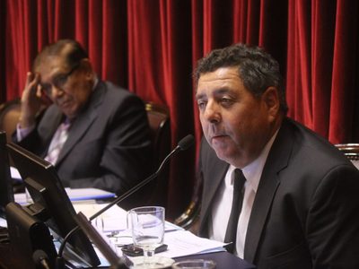 Alfredo de Angeli respaldó a Susana Giménez tras sus polémicos dichos