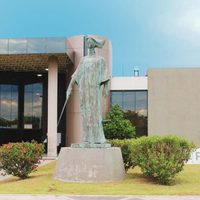 Rescatan a una joven secuestrada hace 17 días en Colima