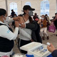 Subvariantes de ómicron de covid-19 evaden anticuerpos de la vacunación e infección previa