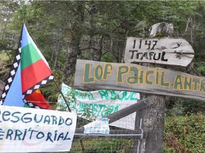 Comunidad Paicil Antriao acusó al fiscal De Lillo de criminalizar la defensa de los derechos del pueblo mapuche