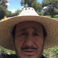 Denuncian la desaparición de un defensor del agua en Tlacotepec de Benito Juárez