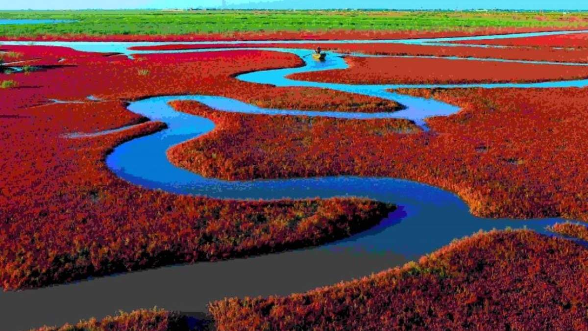 Turismo de naturaleza: playa roja en China. Fuente: (Instagram)