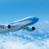 Aerolíneas Argentinas reactivará ocho nuevos vuelos especiales
